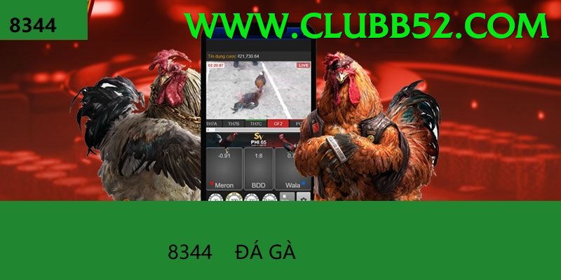 Đá Gà Trực Tiếp - sv368